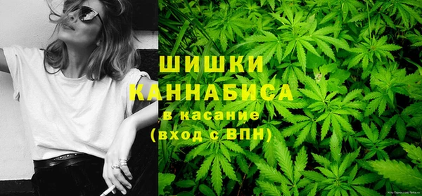 прущие грибы Бородино