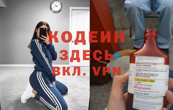 прущие грибы Бородино