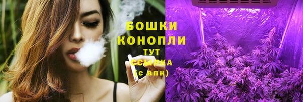 хмурый Богородицк