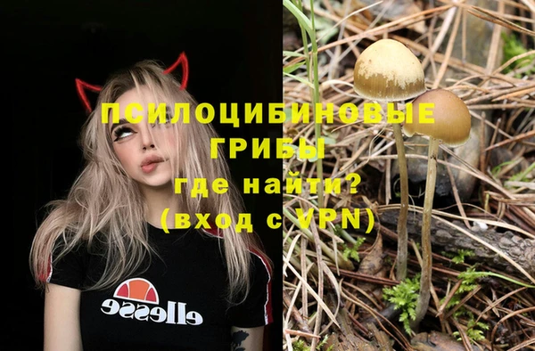 наркотики Богородск