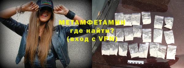 прущие грибы Бородино