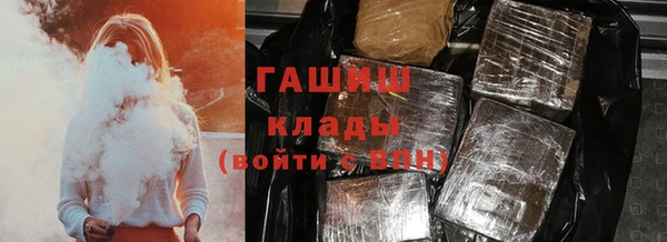 прущие грибы Бородино