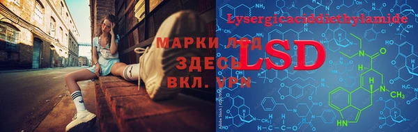 сатива Бугульма